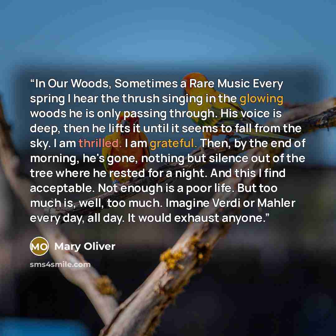 “In Our Woods, Sometimes a Rare Music Every spring I hear the thrush singing in the glowing woods he is only passing through. His voice is deep, then he lifts it until it seems to fall from the sky. I am thrilled. I am grateful. Then, by the end of morning, he's gone, nothing but silence out of the…” quote by Mary Oliver