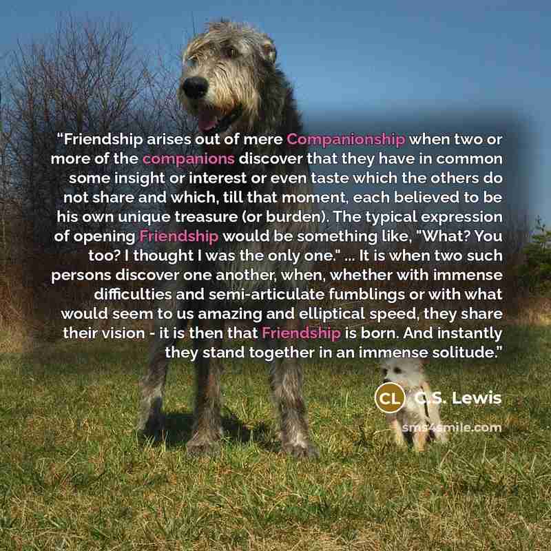 “Friendship arises out of mere Companionship when two or more of the companions discover that they have in common some insight or interest or even taste which the others do not share and which, till that moment, each believed to be his own unique treasure (or burden). The typical expression of…” quote by C.S. Lewis