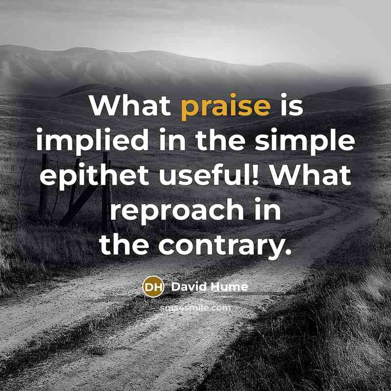 “What praise is implied in the simple epithet useful! What reproach in the contrary.” quote by David Hume