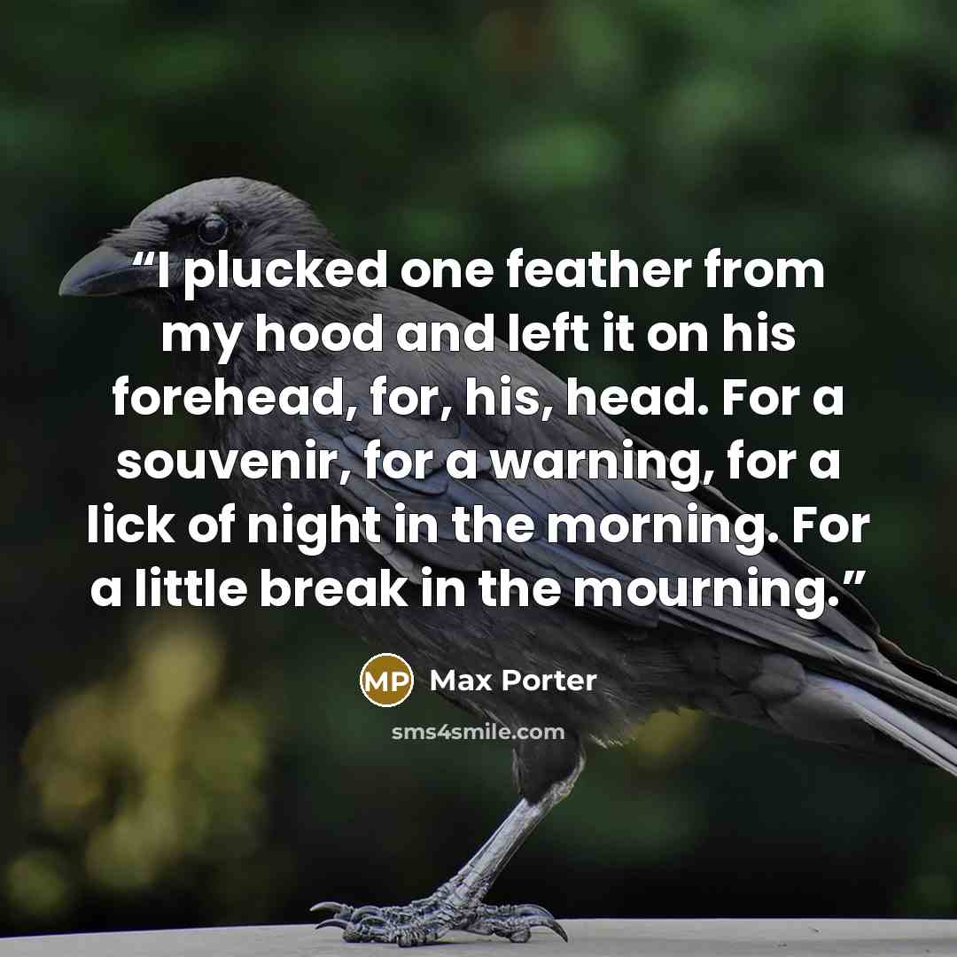 “I plucked one feather from my hood and left it on his forehead, for, his, head. For a souvenir, for a warning, for a lick of night in the morning. For a little break in the mourning.” quote by Max Porter