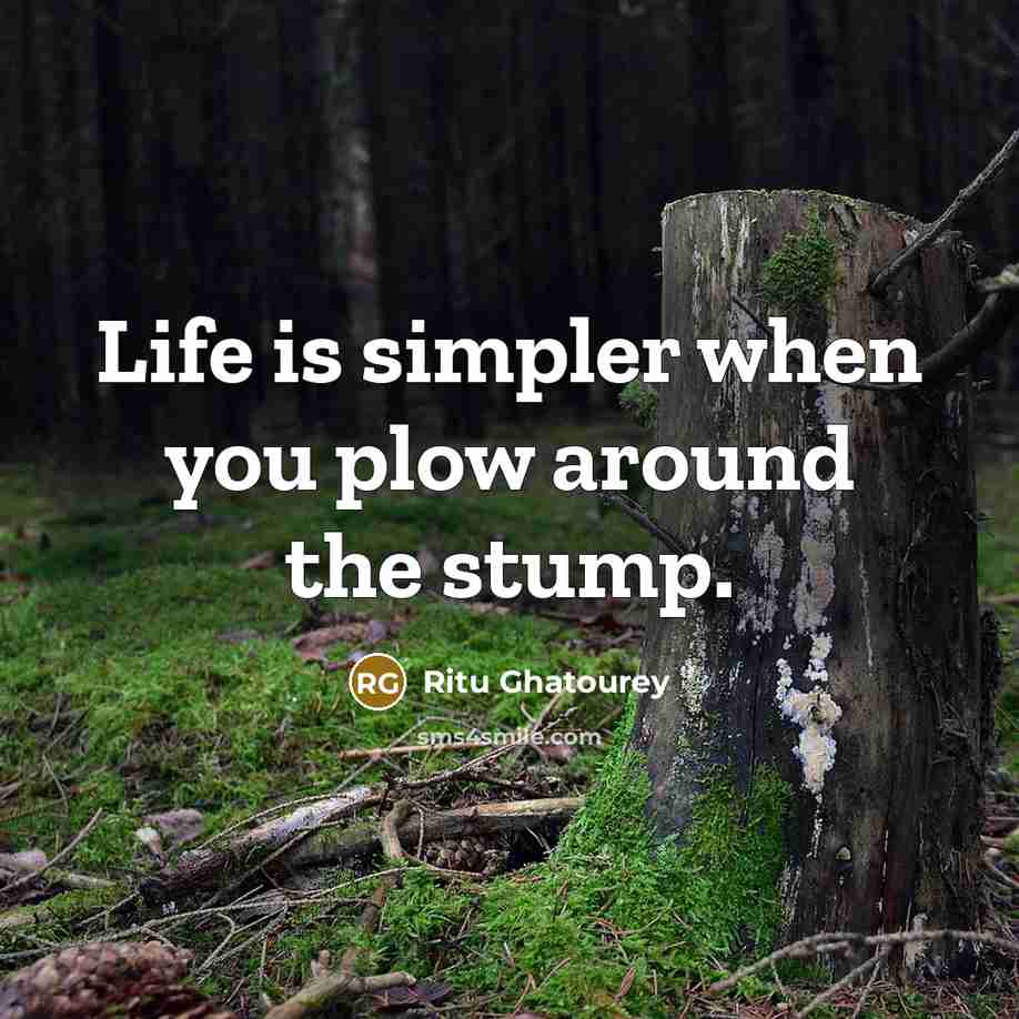 “Life is simpler when you plow around the stump.” quote by Ritu Ghatourey