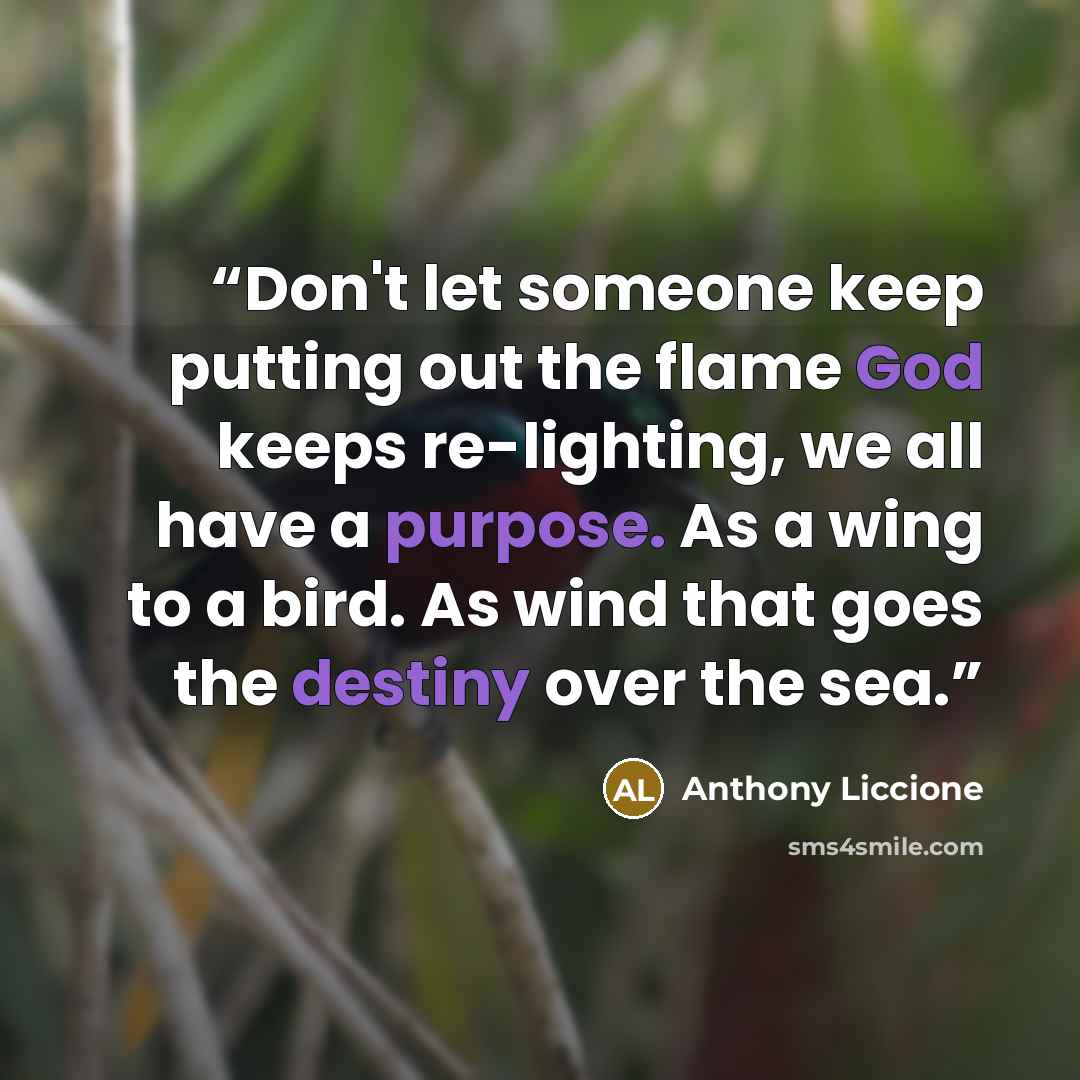 “Don't let someone keep putting out the flame God keeps re-lighting, we all have a purpose. As a wing to a bird. As wind that goes the destiny over the sea.” quote by Anthony Liccione