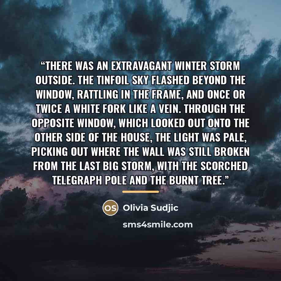 “There was an extravagant winter storm outside. The tinfoil sky flashed beyond the window, rattling in the frame, and once or twice a white fork like a vein. Through the opposite window, which looked out onto the other side of the house, the light was pale, picking out where the wall was still…” quote by Olivia Sudjic