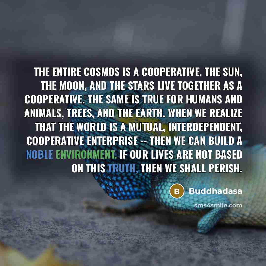 “The entire cosmos is a cooperative. The sun, the moon, and the stars live together as a cooperative. The same is true for humans and animals, trees, and the Earth. When we realize that the world is a mutual, interdependent, cooperative enterprise -- then we can build a noble environment. If our…” quote by Buddhadasa