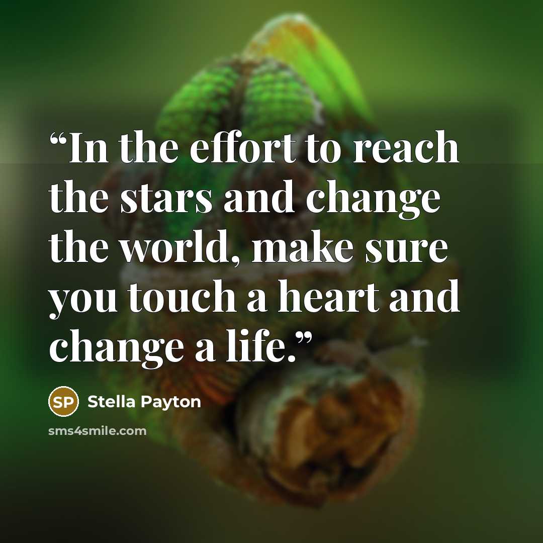 “In the effort to reach the stars and change the world, make sure you touch a heart and change a life.” quote by Stella Payton