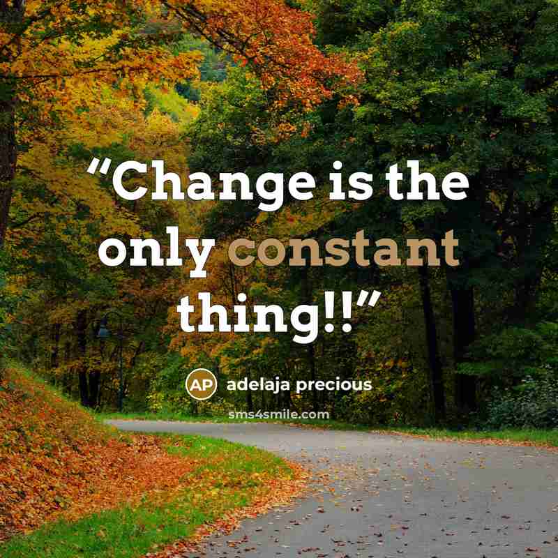 “Change is the only constant thing!!” quote by adelaja precious