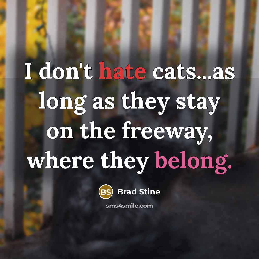 “I don't hate cats...as long as they stay on the freeway, where they belong.” quote by Brad Stine