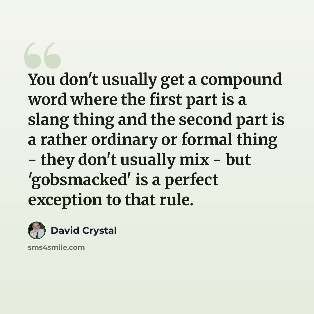 “You don't usually get a compound word where the first part is a slang thing and the second part is a rather ordinary or formal thing - they don't usually mix - but 'gobsmacked' is a perfect exception to that rule.” quote by David Crystal