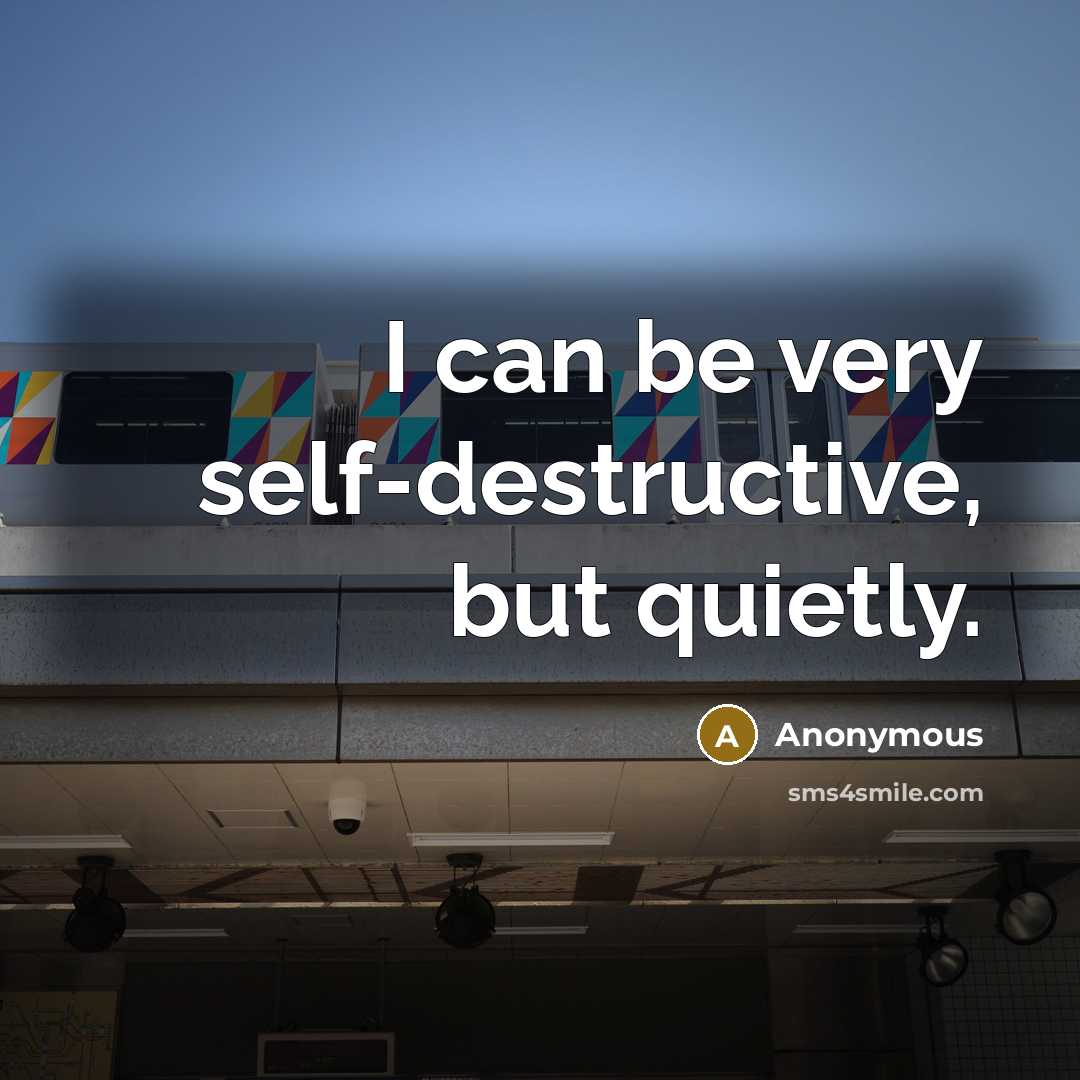 “I can be very self-destructive, but quietly.” quote by Anonymous
