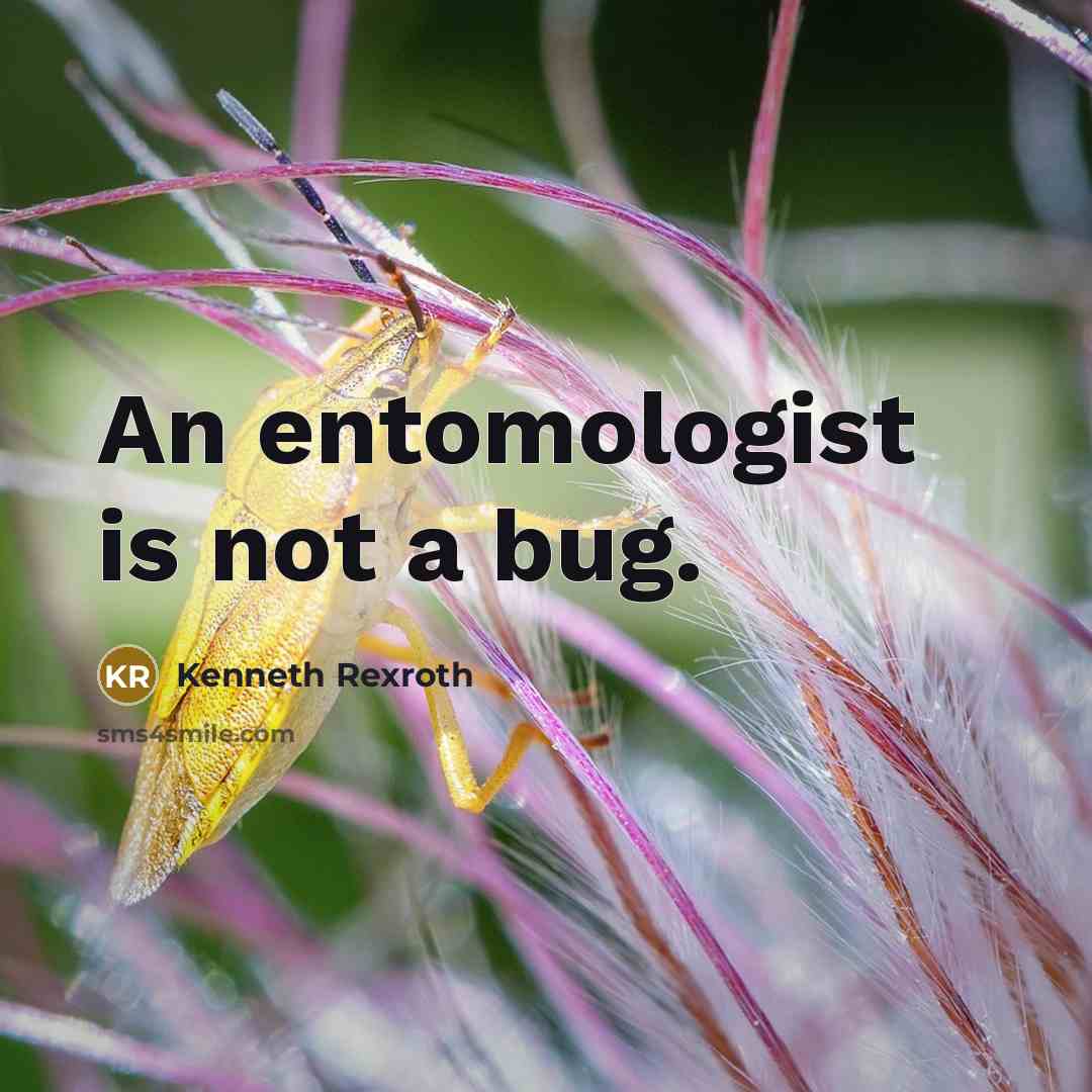 “An entomologist is not a bug.” quote by Kenneth Rexroth