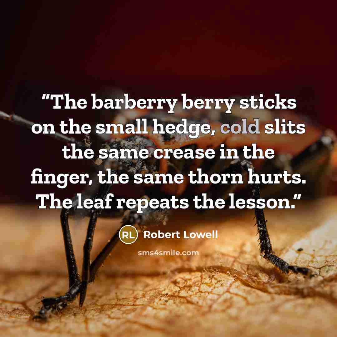“The barberry berry sticks on the small hedge, cold slits the same crease in the finger, the same thorn hurts. The leaf repeats the lesson.” quote by Robert Lowell