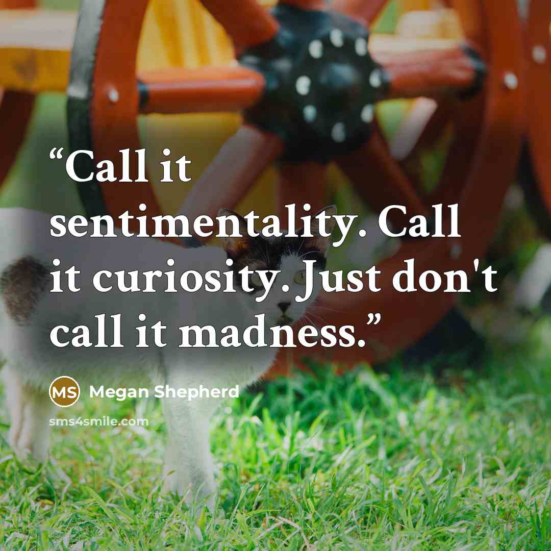 “Call it sentimentality. Call it curiosity. Just don't call it madness.” quote by Megan Shepherd
