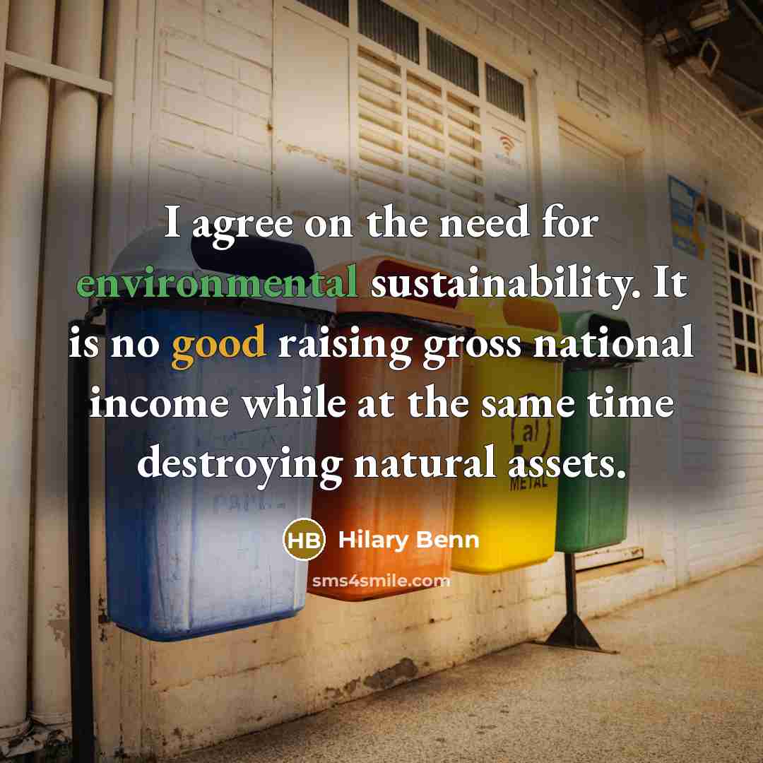 “I agree on the need for environmental sustainability. It is no good raising gross national income while at the same time destroying natural assets.” quote by Hilary Benn