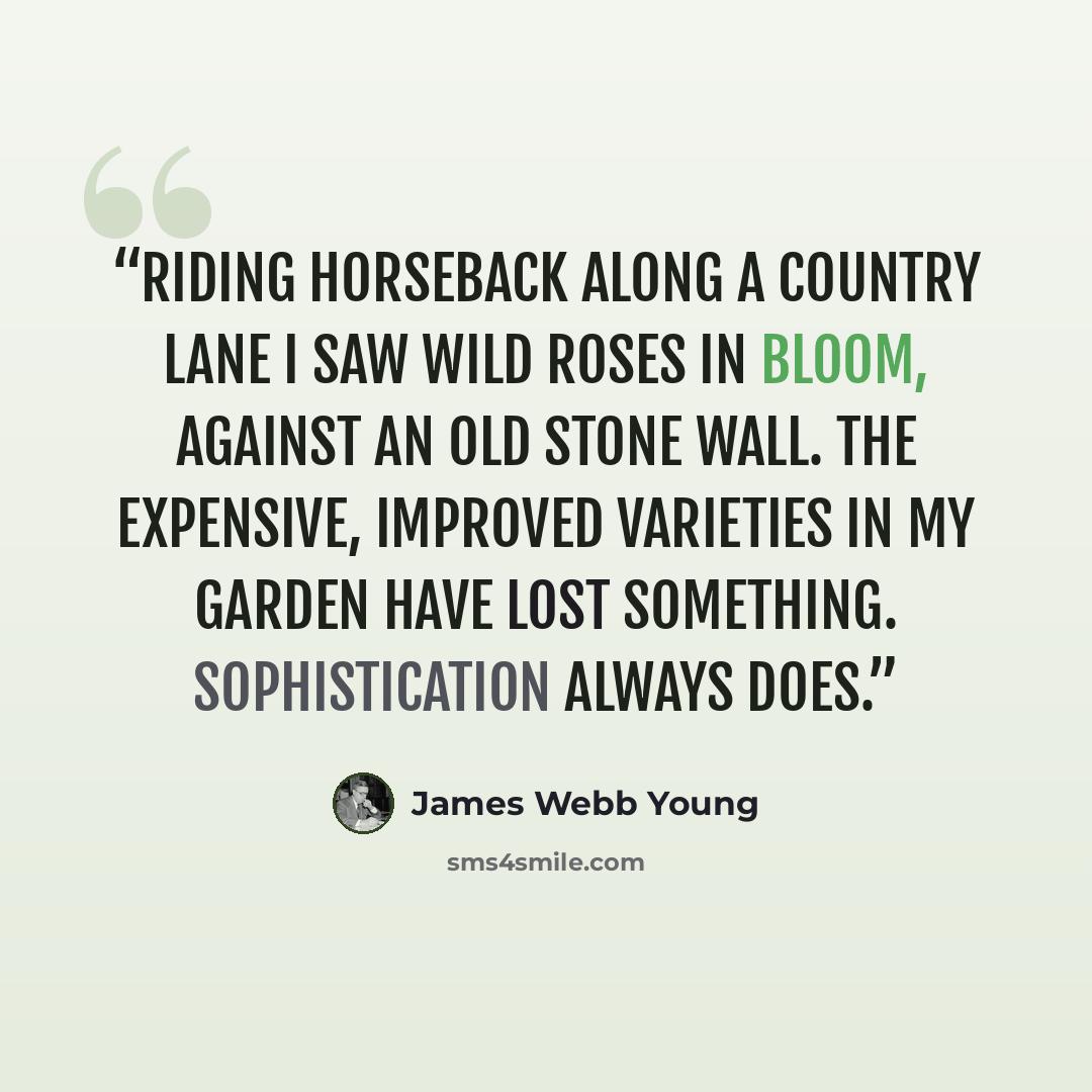 “Riding horseback along a country lane I saw wild roses in bloom, against an old stone wall. The expensive, improved varieties in my garden have lost something. Sophistication always does.” quote by James Webb Young