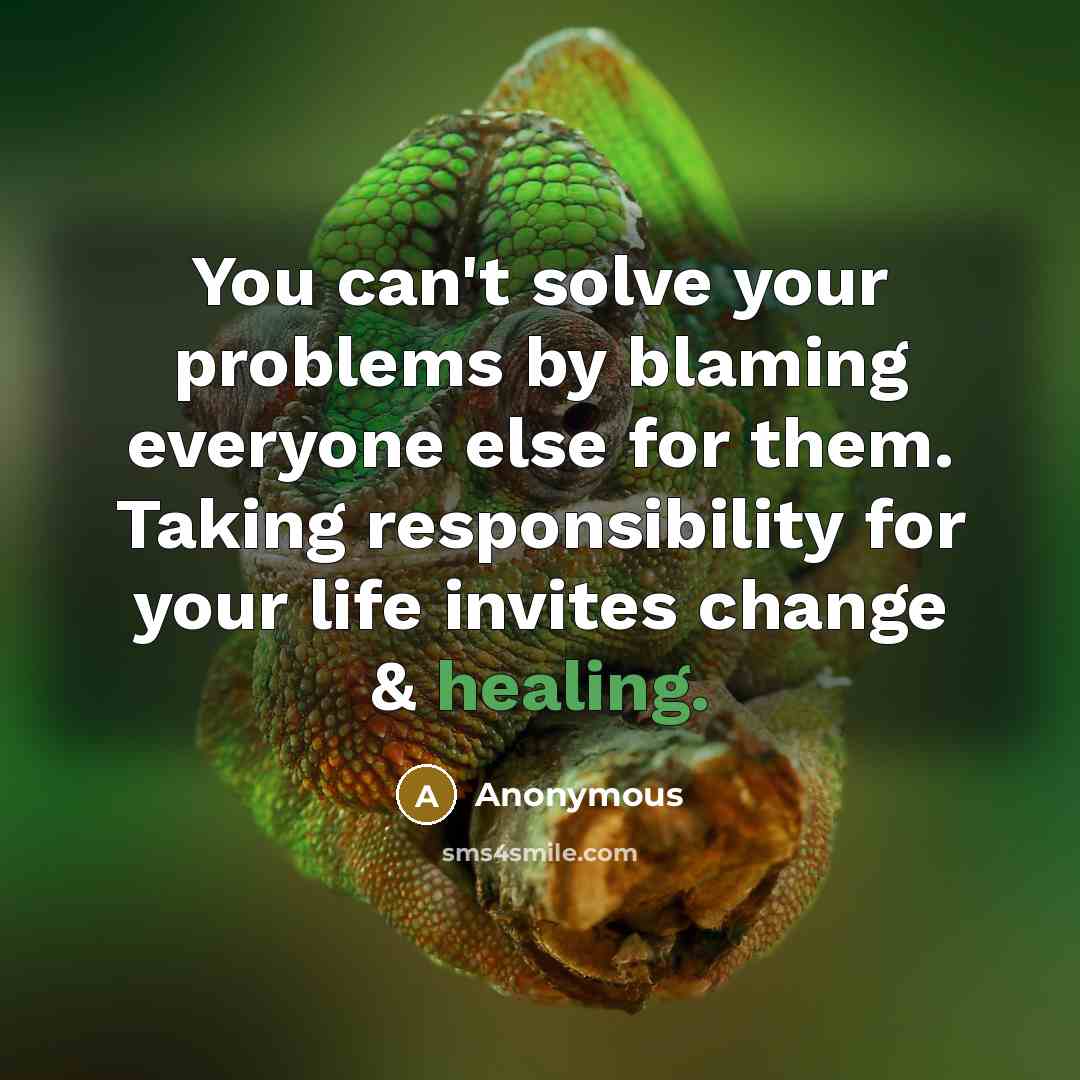 “You can't solve your problems by blaming everyone else for them. Taking responsibility for your life invites change & healing.” quote by Anonymous