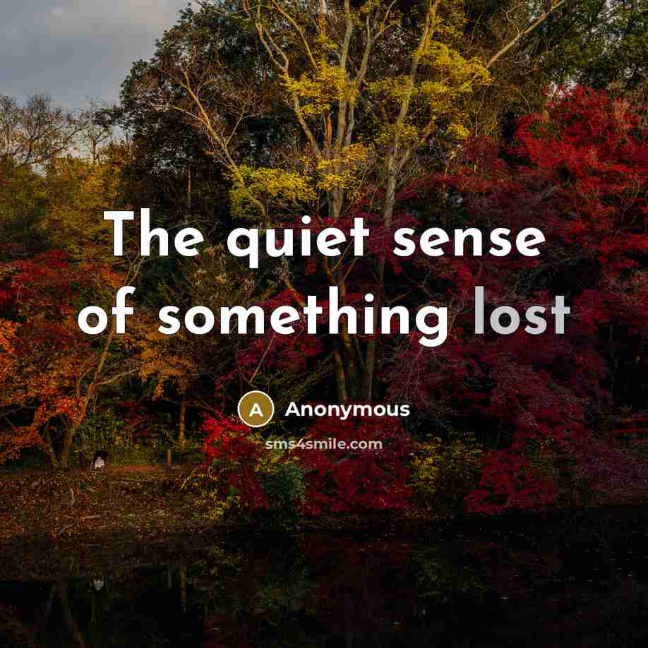 “The quiet sense of something lost” quote by Anonymous