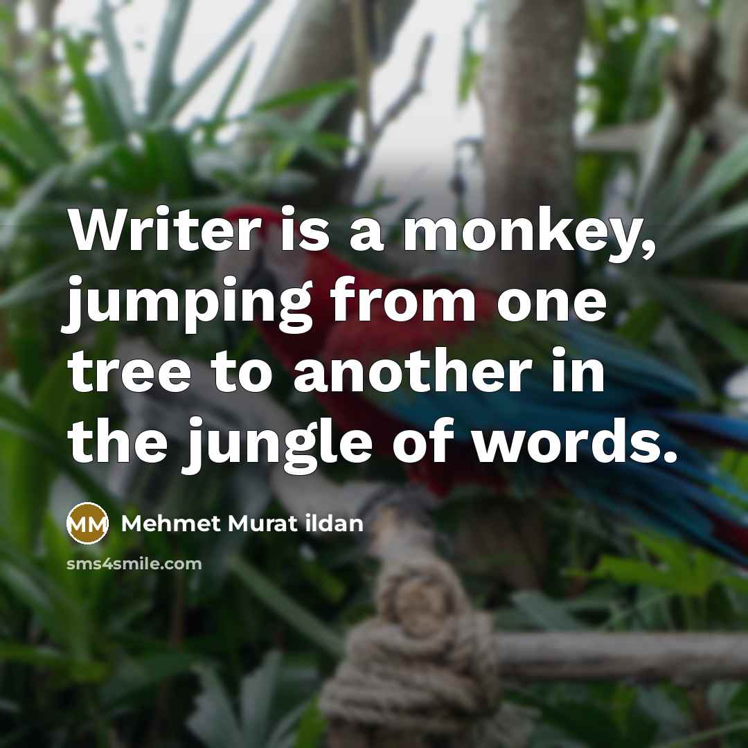 “Writer is a monkey, jumping from one tree to another in the jungle of words.” quote by Mehmet Murat Ildan
