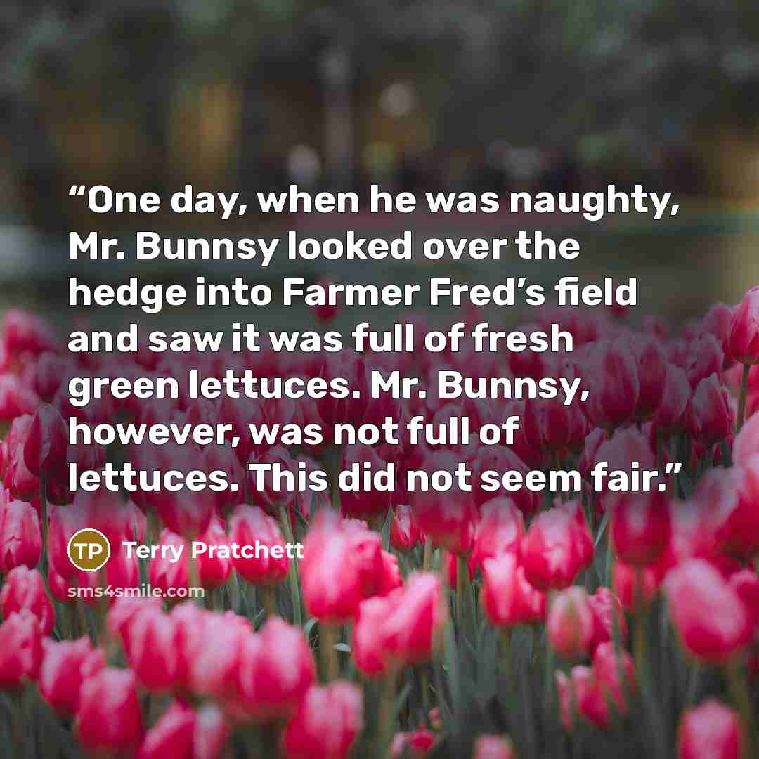 “One day, when he was naughty, Mr. Bunnsy looked over the hedge into Farmer Fred’s field and saw it was full of fresh green lettuces. Mr. Bunnsy, however, was not full of lettuces. This did not seem fair.” quote by Terry Pratchett