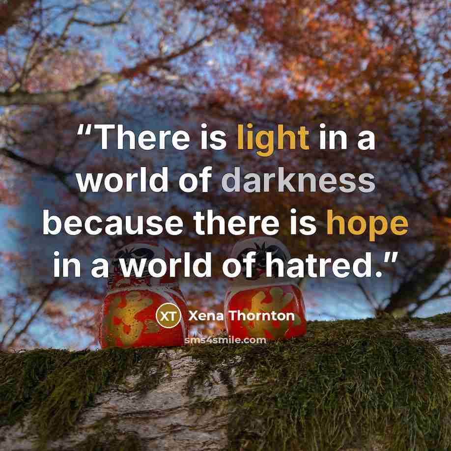 “There is light in a world of darkness because there is hope in a world of hatred.” quote by Xena Thornton