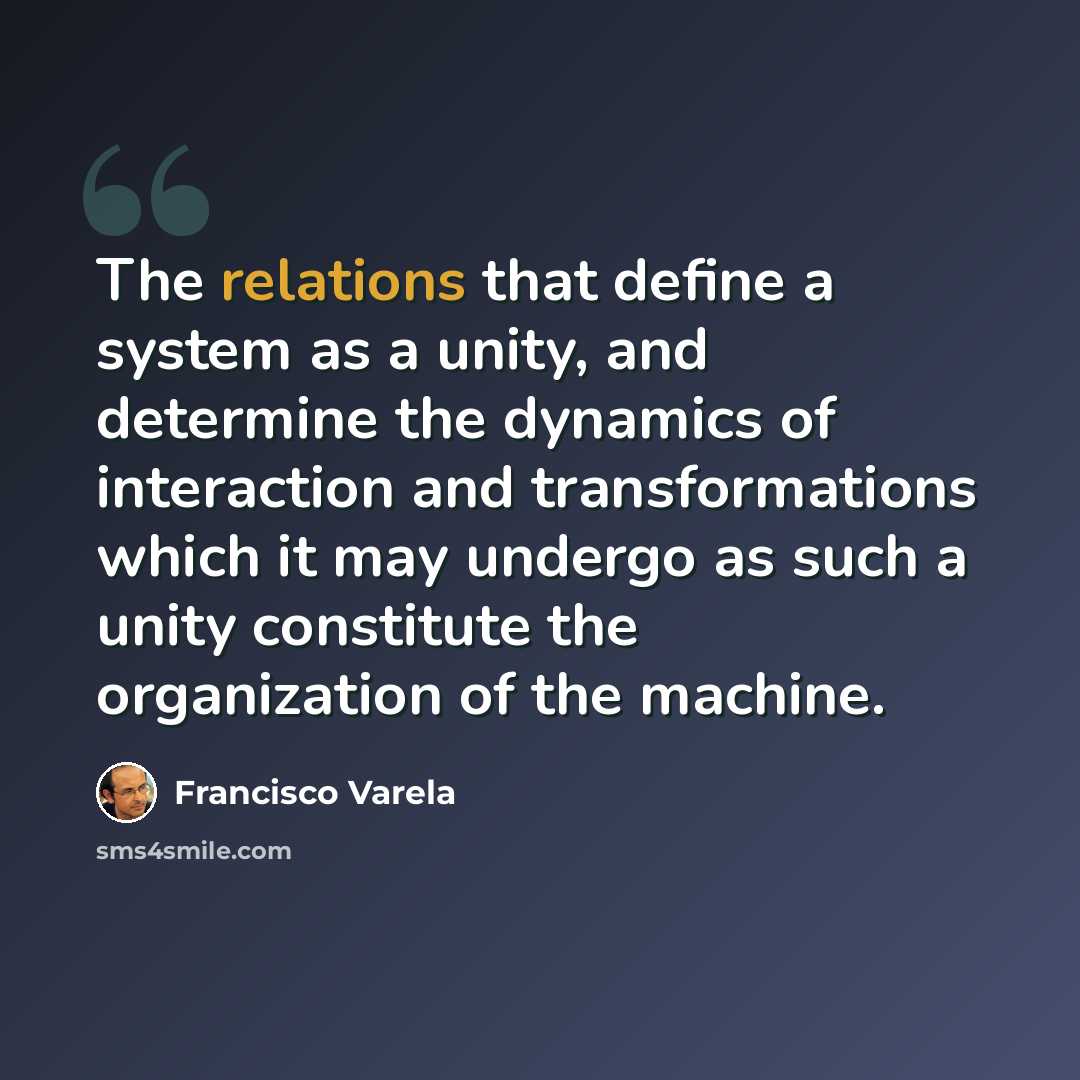 “The relations that define a system as a unity, and determine the dynamics of interaction and transformations which it may undergo as such a unity constitute the organization of the machine.” quote by Francisco Varela