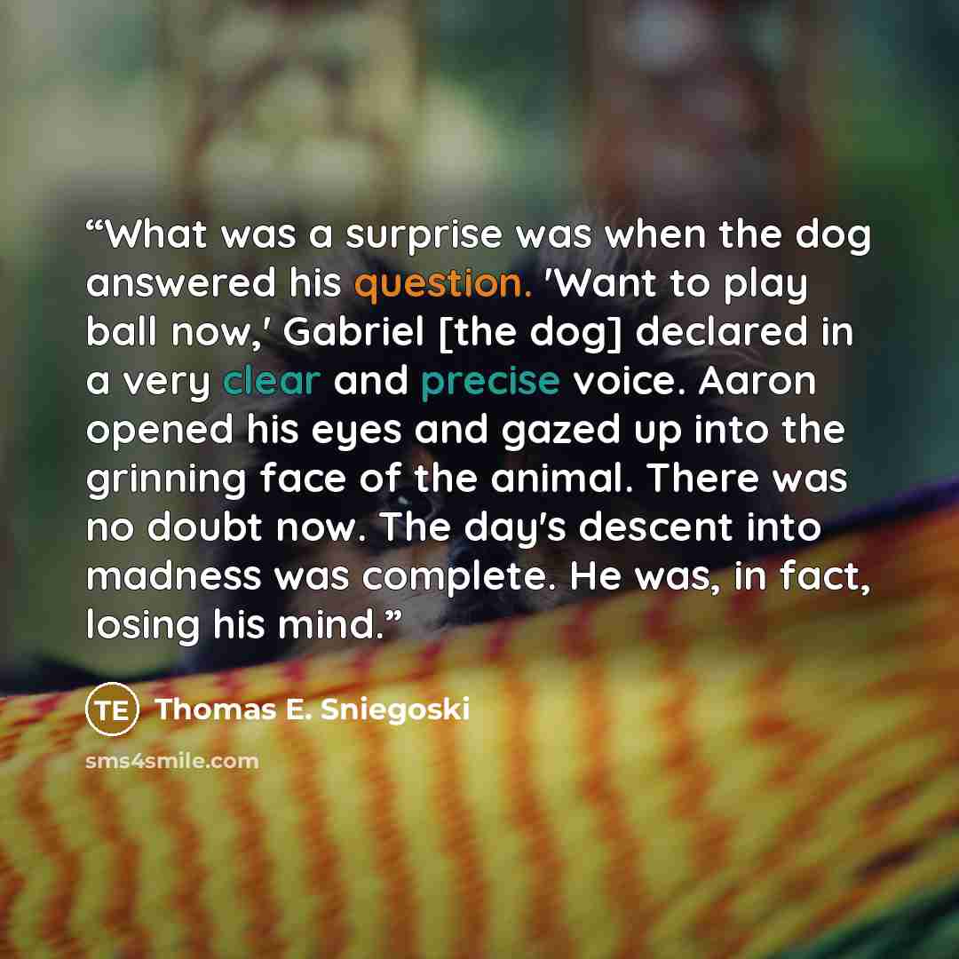 “What was a surprise was when the dog answered his question. 'Want to play ball now,' Gabriel [the dog] declared in a very clear and precise voice. Aaron opened his eyes and gazed up into the grinning face of the animal. There was no doubt now. The day's descent into madness was complete. He was…” quote by Thomas E. Sniegoski