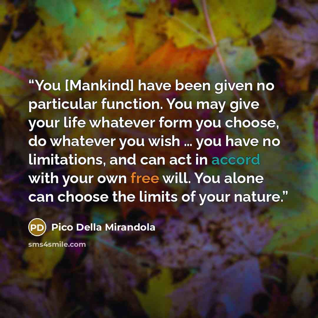“You [Mankind] have been given no particular function. You may give your life whatever form you choose, do whatever you wish … you have no limitations, and can act in accord with your own free will. You alone can choose the limits of your nature.” quote by Pico della Mirandola
