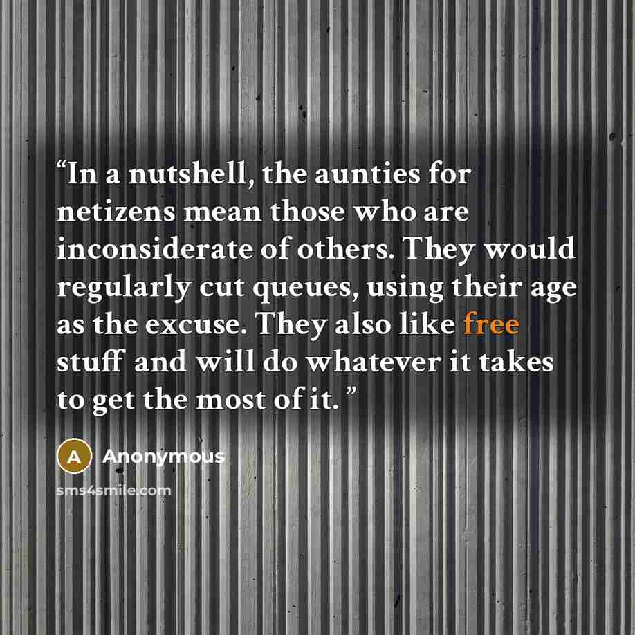 “In a nutshell, the aunties for netizens mean those who are inconsiderate of others. They would regularly cut queues, using their age as the excuse. They also like free stuff and will do whatever it takes to get the most of it.” quote by Anonymous