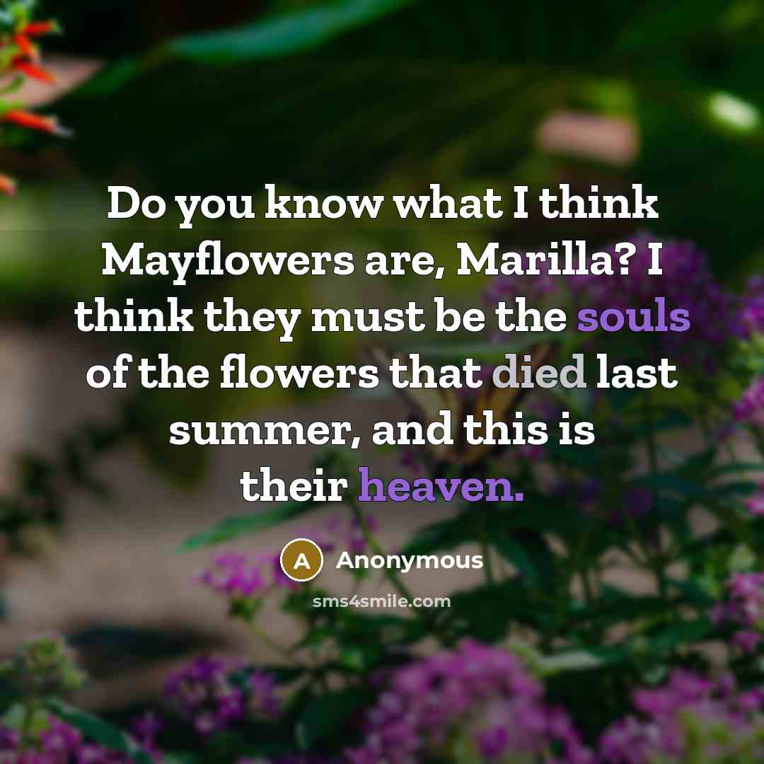 “Do you know what I think Mayflowers are, Marilla? I think they must be the souls of the flowers that died last summer, and this is their heaven.” quote by Anonymous