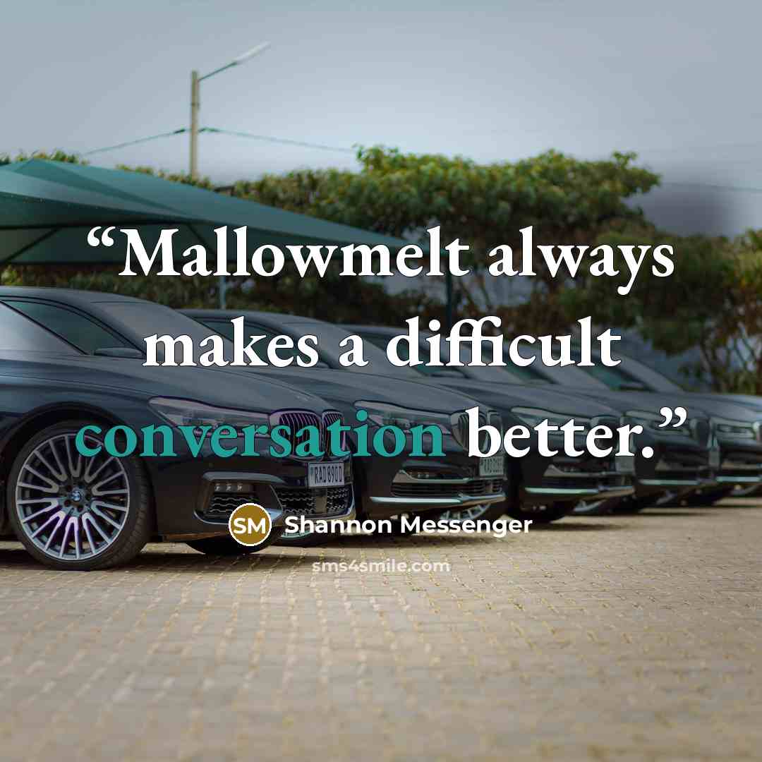 “Mallowmelt always makes a difficult conversation better.” quote by Shannon Messenger