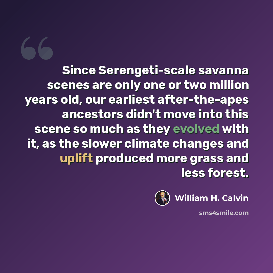 “Since Serengeti-scale savanna scenes are only one or two million years old, our earliest after-the-apes ancestors didn't move into this scene so much as they evolved with it, as the slower climate changes and uplift produced more grass and less forest.” quote by William H. Calvin