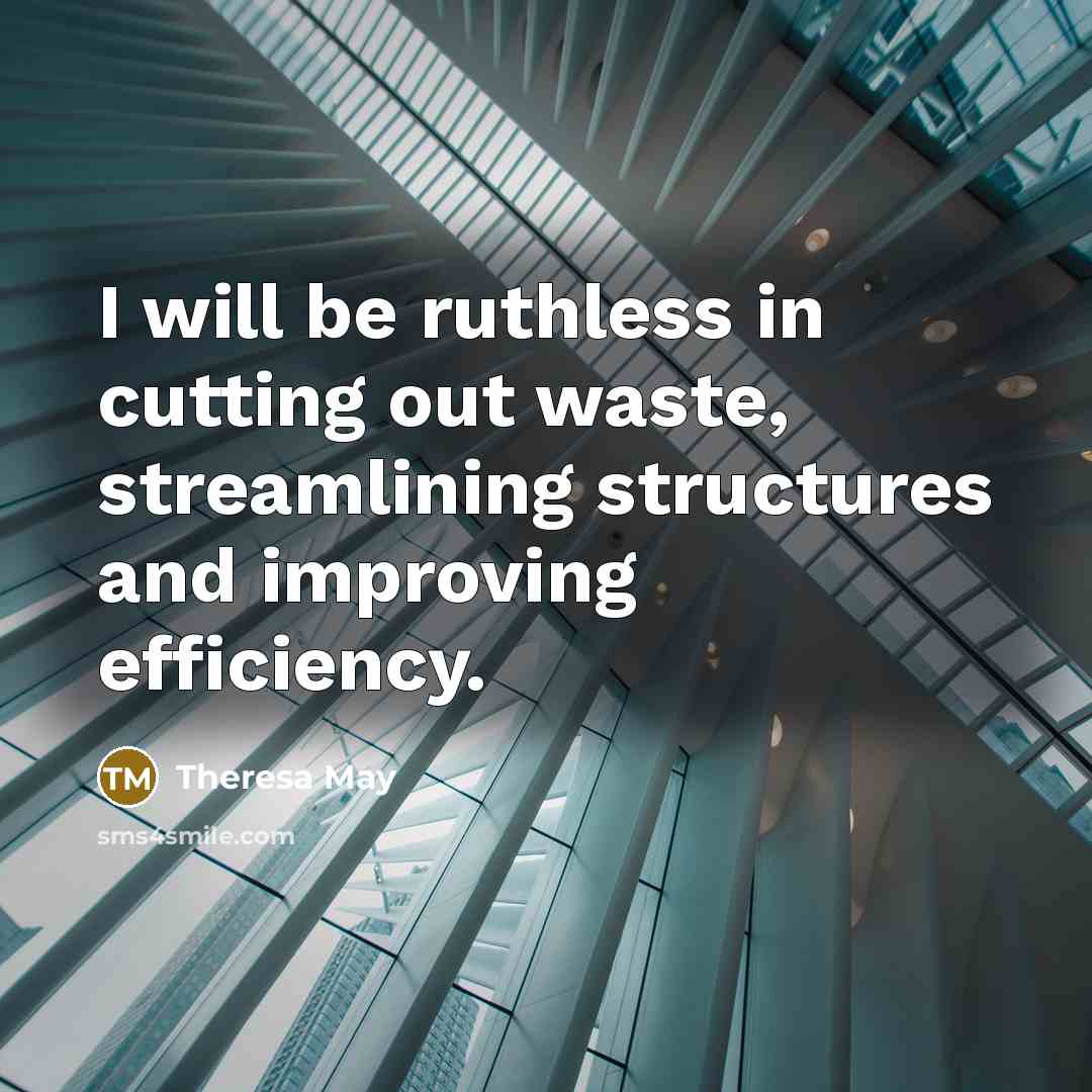 “I will be ruthless in cutting out waste, streamlining structures and improving efficiency.” quote by Theresa May