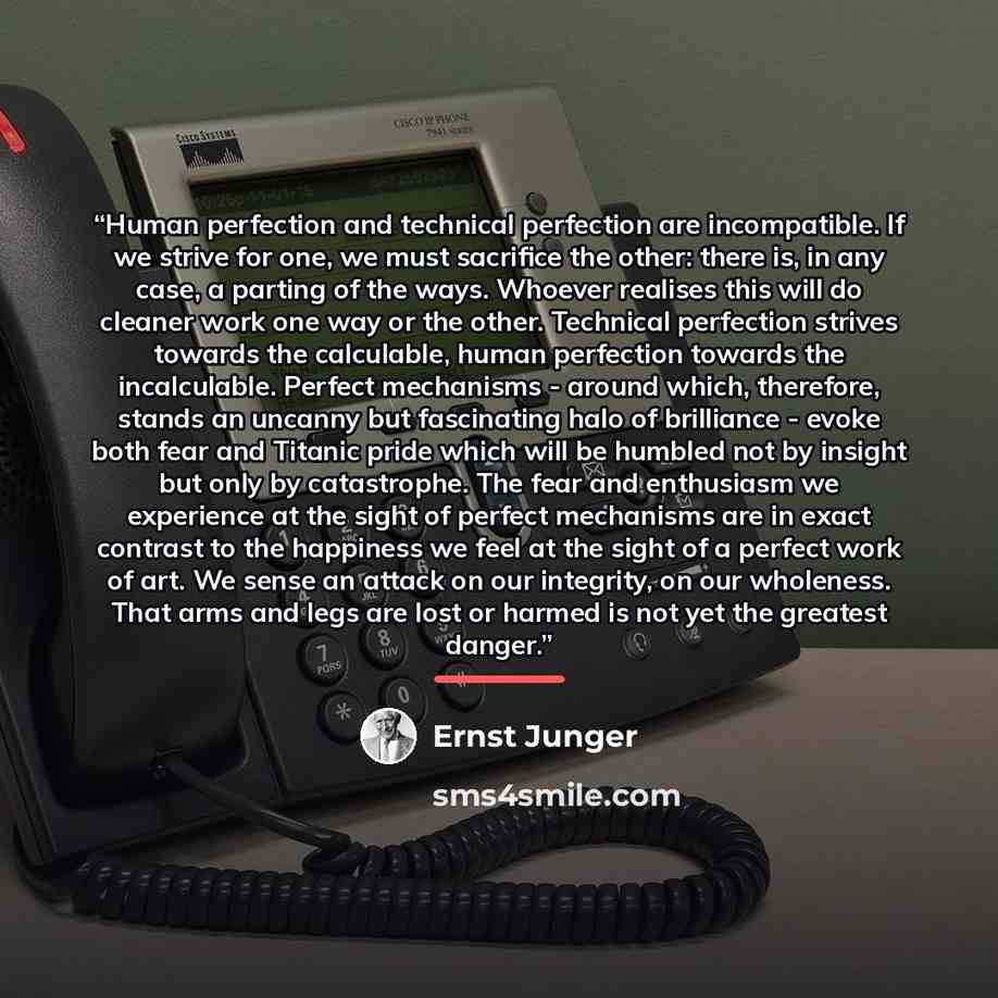 “Human perfection and technical perfection are incompatible. If we strive for one, we must sacrifice the other: there is, in any case, a parting of the ways. Whoever realises this will do cleaner work one way or the other. Technical perfection strives towards the calculable, human perfection…” quote by Ernst Jünger