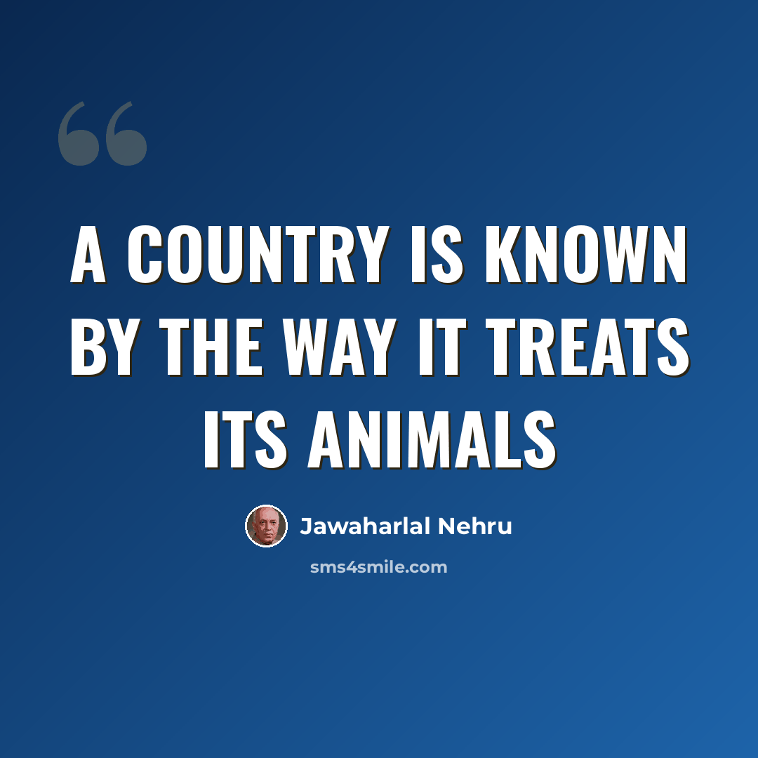 “A country is known by the way it treats its animals” quote by Jawaharlal Nehru