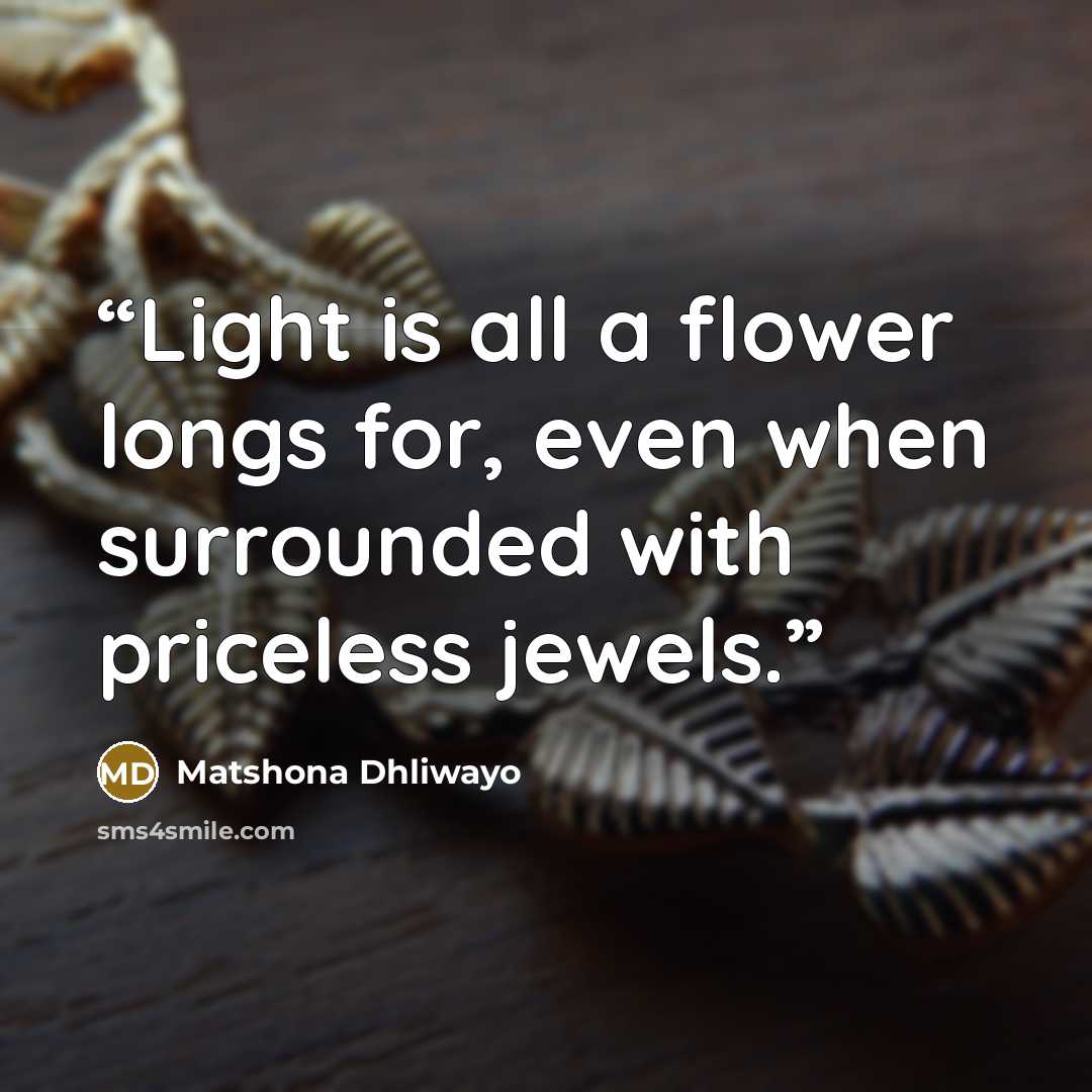 “Light is all a flower longs for, even when surrounded with priceless jewels.” quote by Matshona Dhliwayo