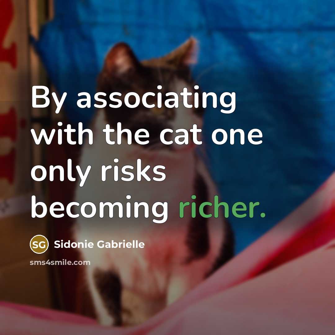 “By associating with the cat one only risks becoming richer.” quote by Sidonie Gabrielle