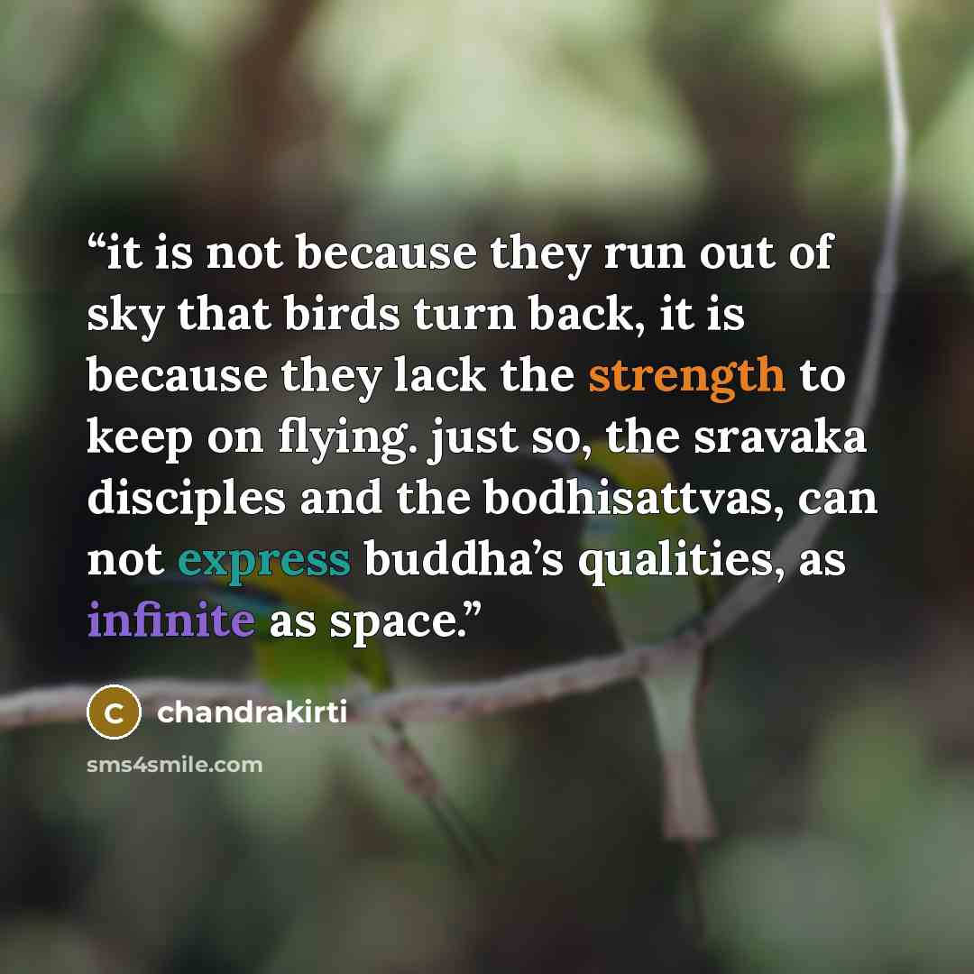 “it is not because they run out of sky that birds turn back, it is because they lack the strength to keep on flying. just so, the sravaka disciples and the bodhisattvas, can not express buddha’s qualities, as infinite as space.” quote by chandrakirti