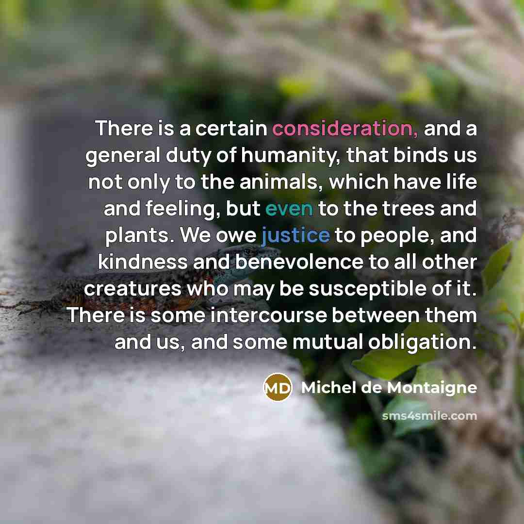 “There is a certain consideration, and a general duty of humanity, that binds us not only to the animals, which have life and feeling, but even to the trees and plants. We owe justice to people, and kindness and benevolence to all other creatures who may be susceptible of it. There is some…” quote by Michel de Montaigne