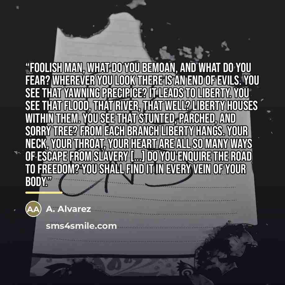 “Foolish man, what do you bemoan, and what do you fear? Wherever you look there is an end of evils. You see that yawning precipice? It leads to liberty. You see that flood, that river, that well? Liberty houses within them. You see that stunted, parched, and sorry tree? From each branch liberty…” quote by Anonymous