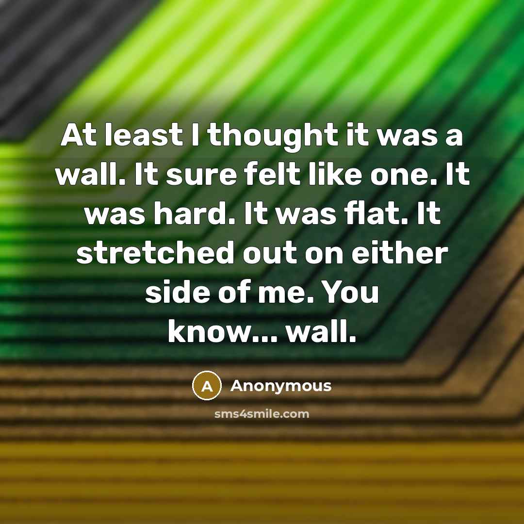 “At least I thought it was a wall. It sure felt like one. It was hard. It was flat. It stretched out on either side of me. You know... wall.” quote by Anonymous