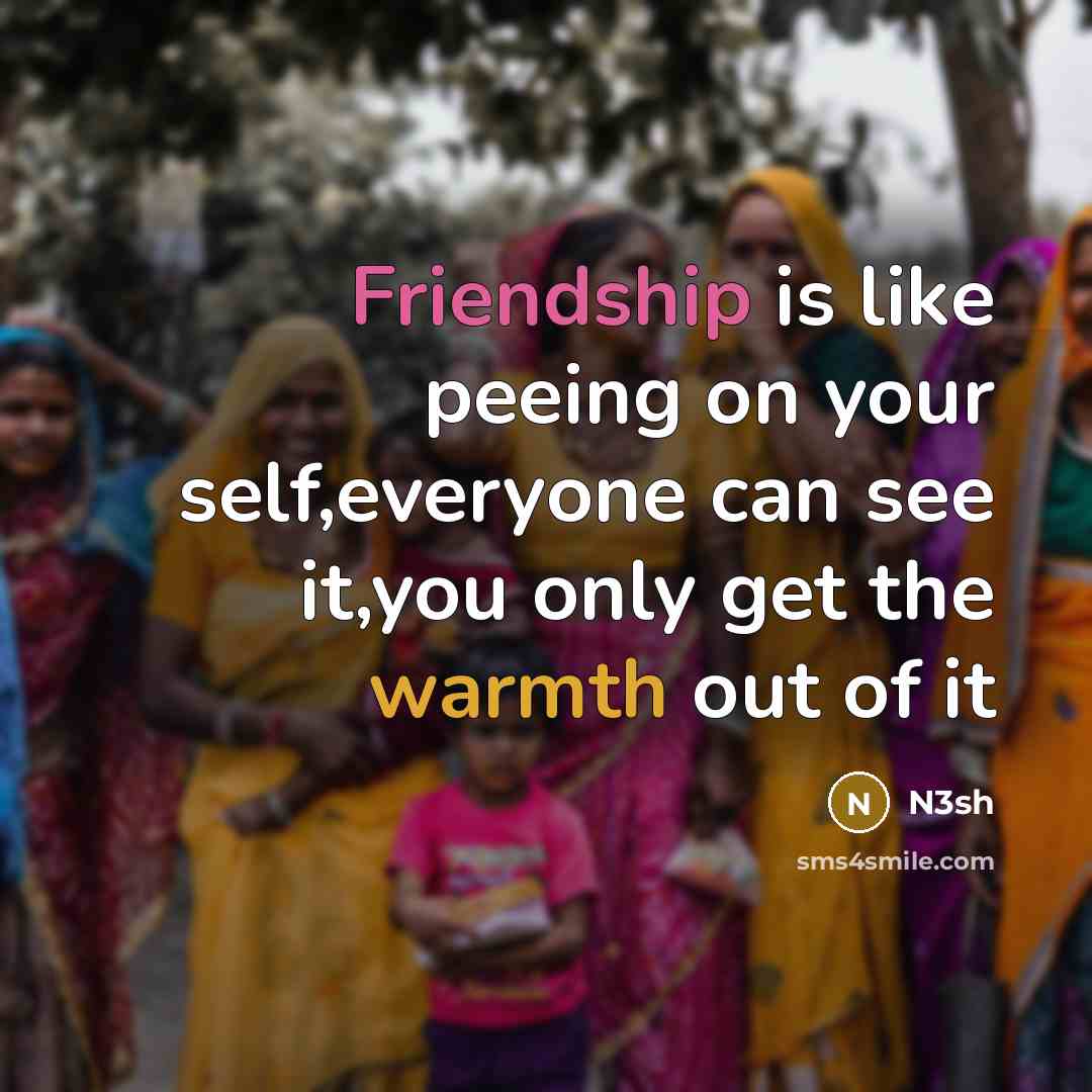 “Friendship is like peeing on your self,everyone can see it,you only get the warmth out of it” quote by N3sh