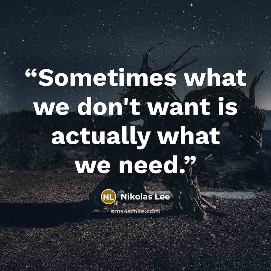 “Sometimes what we don't want is actually what we need.” quote by Nikolas Lee