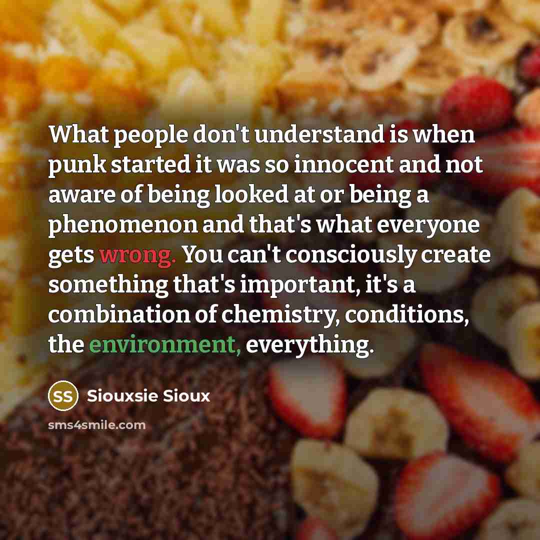 “What people don't understand is when punk started it was so innocent and not aware of being looked at or being a phenomenon and that's what everyone gets wrong. You can't consciously create something that's important, it's a combination of chemistry, conditions, the environment, everything.” quote by Siouxsie Sioux