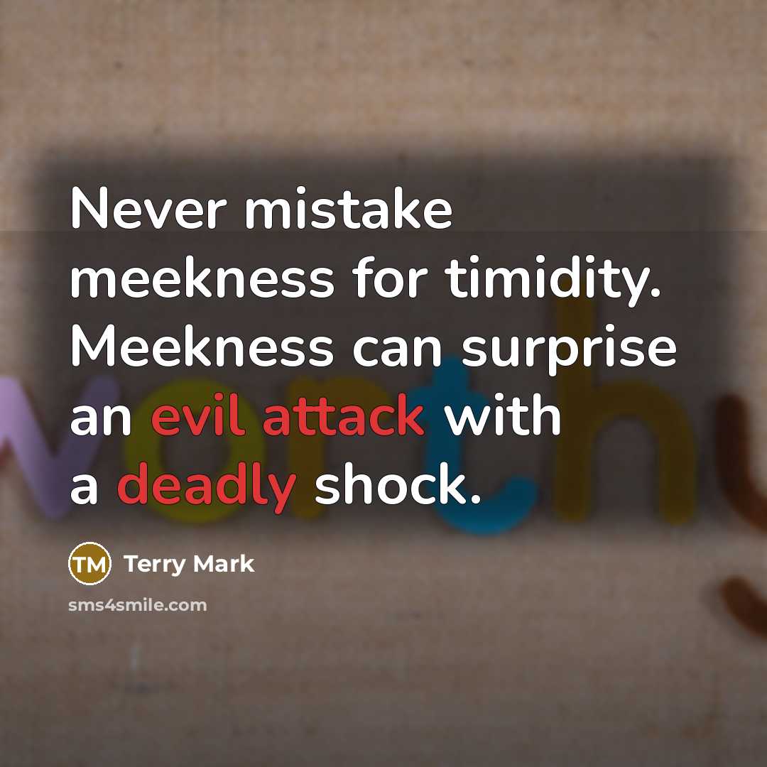 “Never mistake meekness for timidity. Meekness can surprise an evil attack with a deadly shock.” quote by Terry Mark