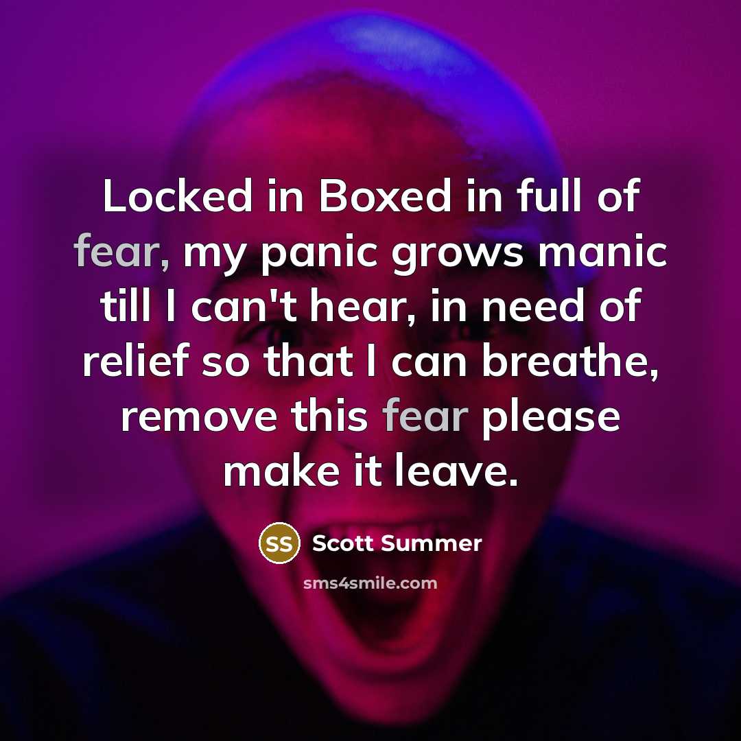 “Locked in Boxed in full of fear, my panic grows manic till I can't hear, in need of relief so that I can breathe, remove this fear please make it leave.” quote by Scott Summer