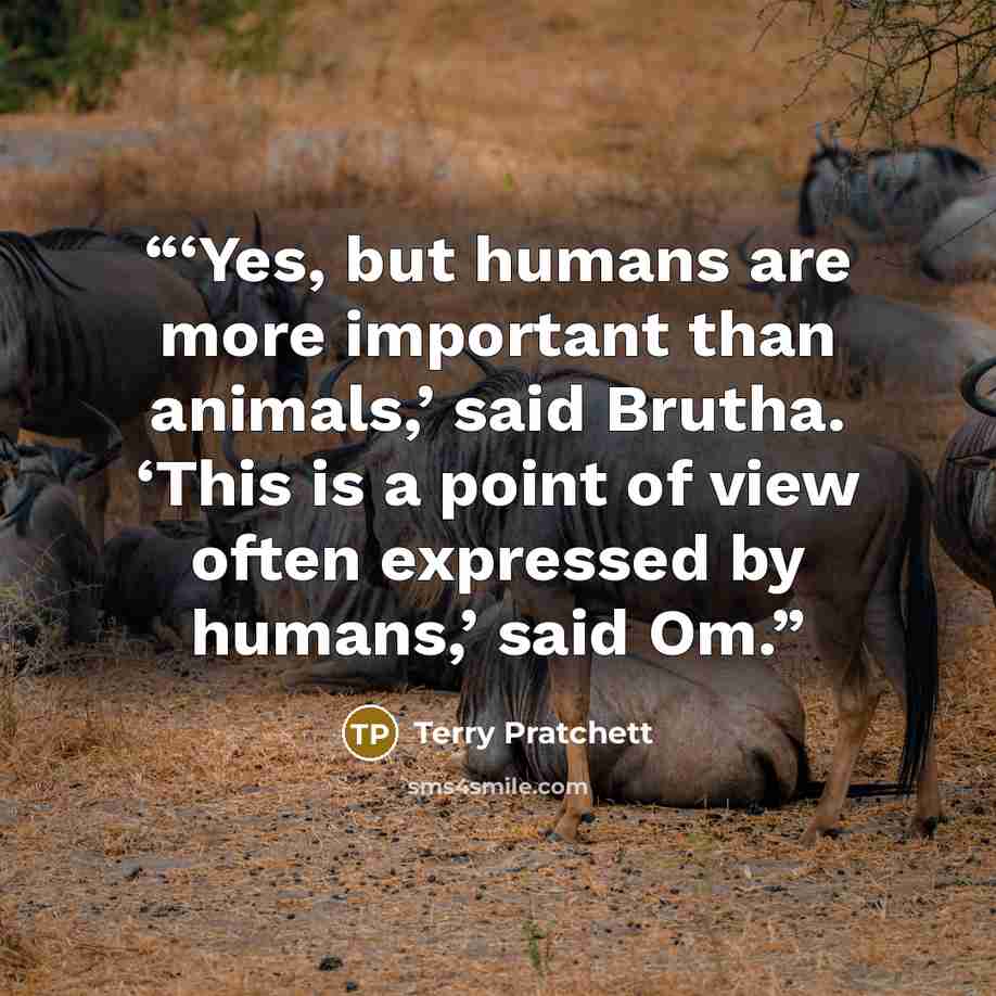 “‘Yes, but humans are more important than animals,’ said Brutha. ‘This is a point of view often expressed by humans,’ said Om.” quote by Terry Pratchett