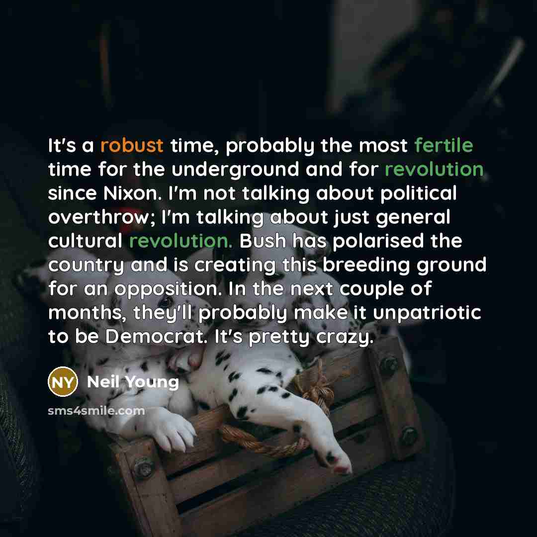 “It's a robust time, probably the most fertile time for the underground and for revolution since Nixon. I'm not talking about political overthrow; I'm talking about just general cultural revolution. Bush has polarised the country and is creating this breeding ground for an opposition. In the next…” quote by Neil Young