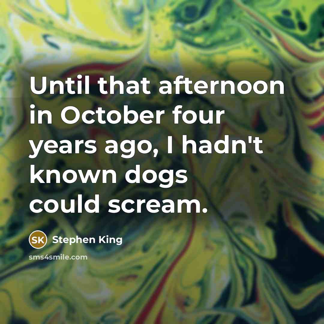“Until that afternoon in October four years ago, I hadn't known dogs could scream.” quote by Stephen King