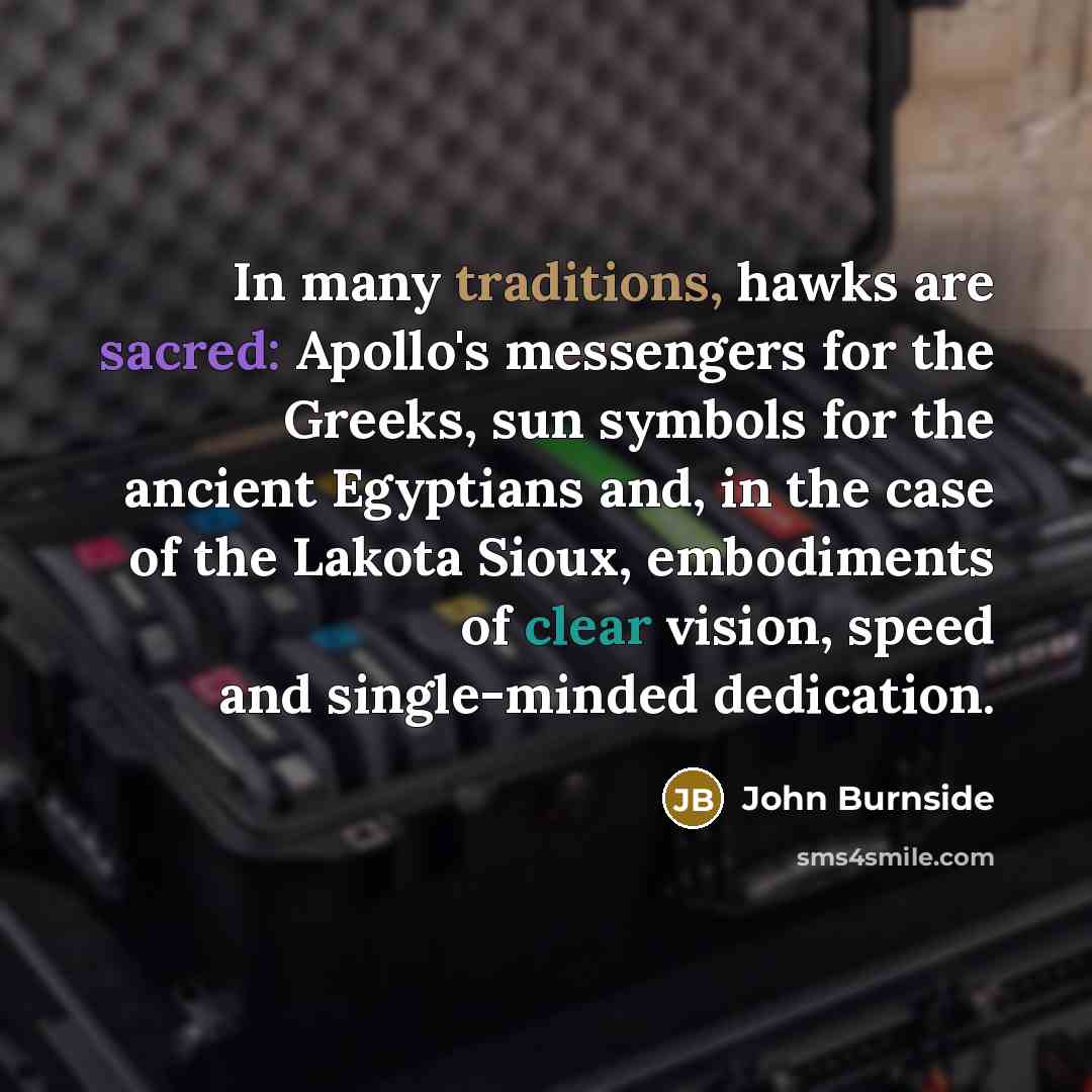 “In many traditions, hawks are sacred: Apollo's messengers for the Greeks, sun symbols for the ancient Egyptians and, in the case of the Lakota Sioux, embodiments of clear vision, speed and single-minded dedication.” quote by John Burnside