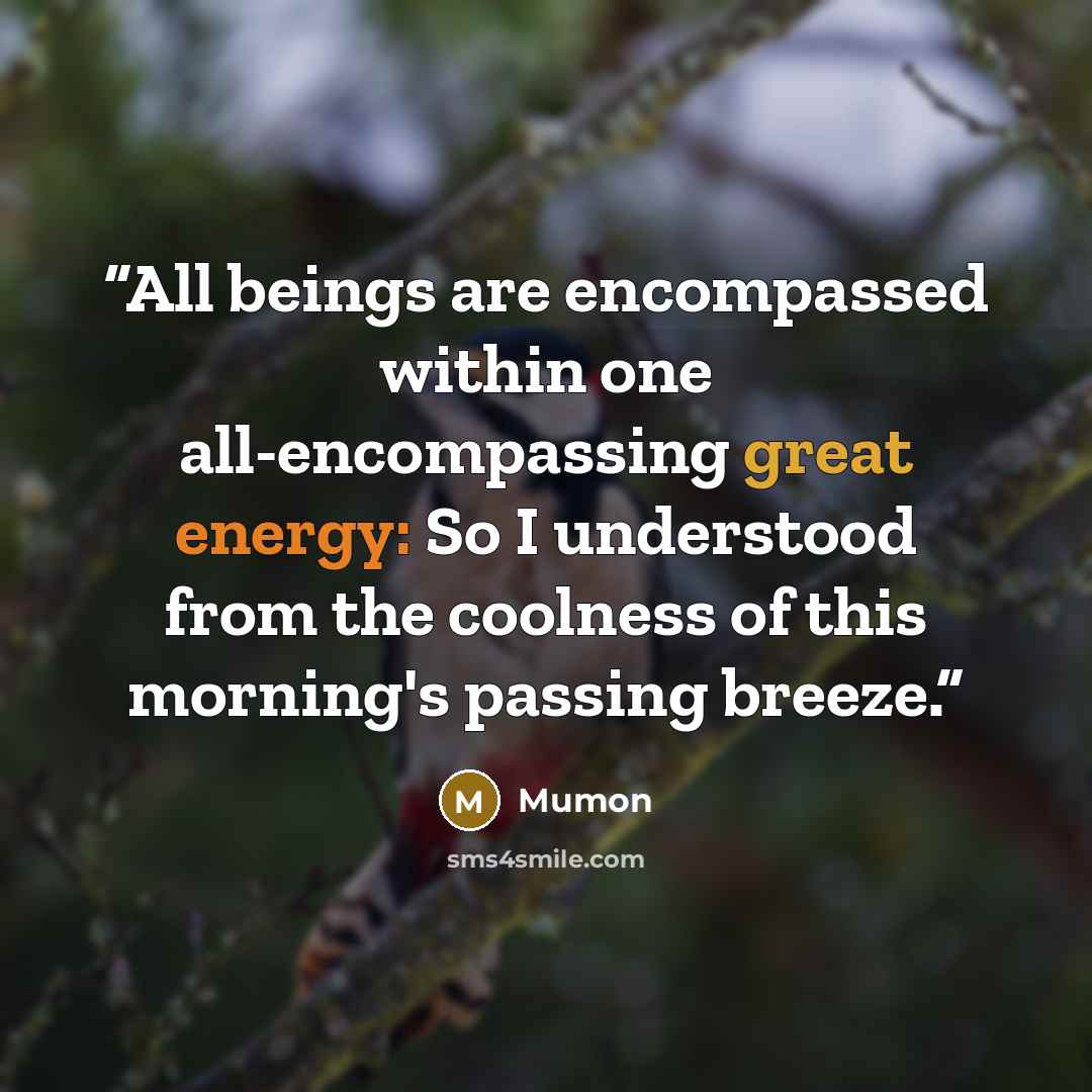 “All beings are encompassed within one all-encompassing great energy: So I understood from the coolness of this morning's passing breeze.” quote by Mumon