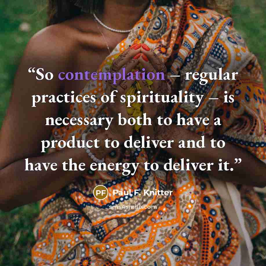“So contemplation – regular practices of spirituality – is necessary both to have a product to deliver and to have the energy to deliver it.” quote by Paul F. Knitter